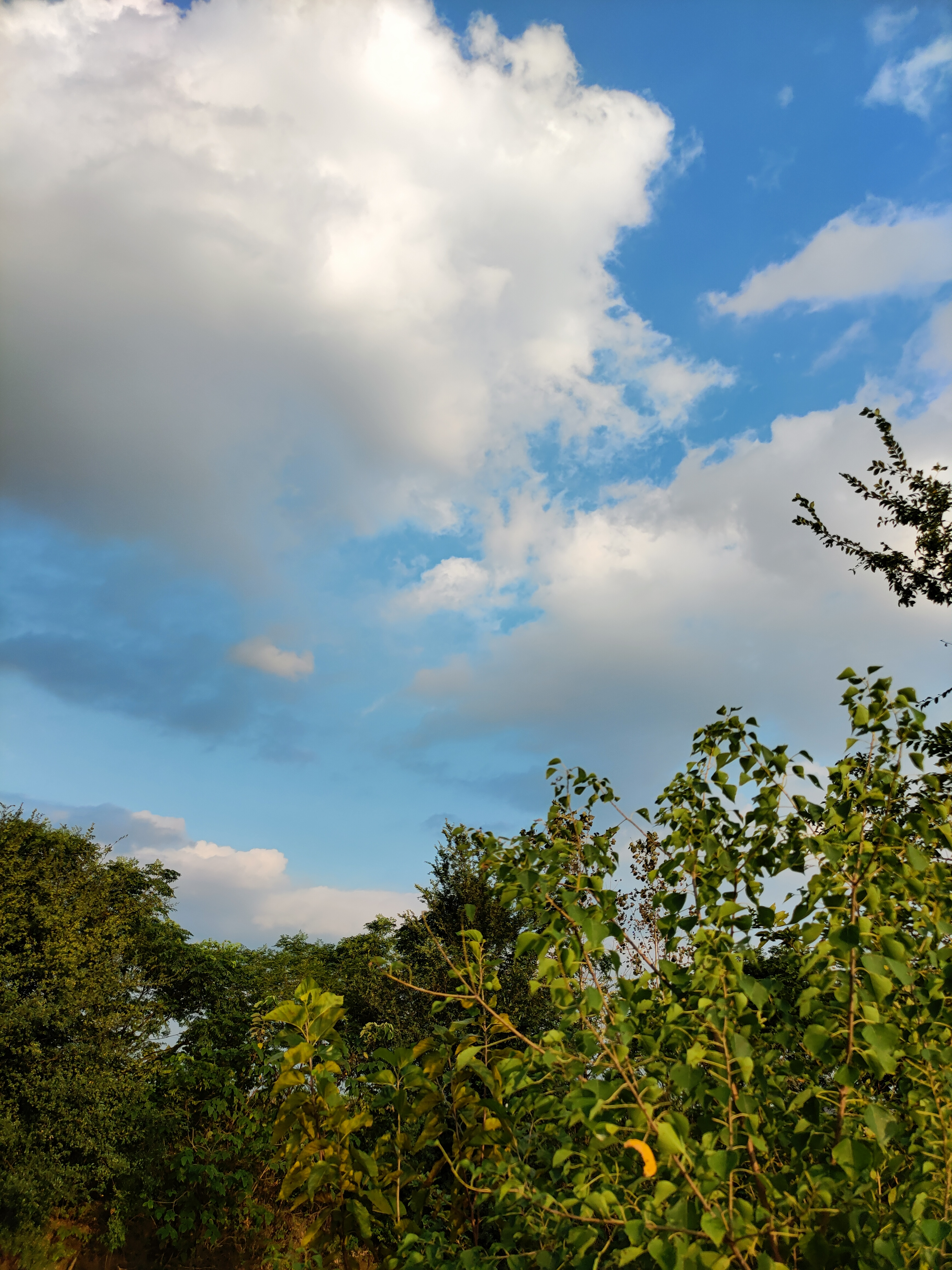 acd832c503509b67119e8edbe048de6.jpg