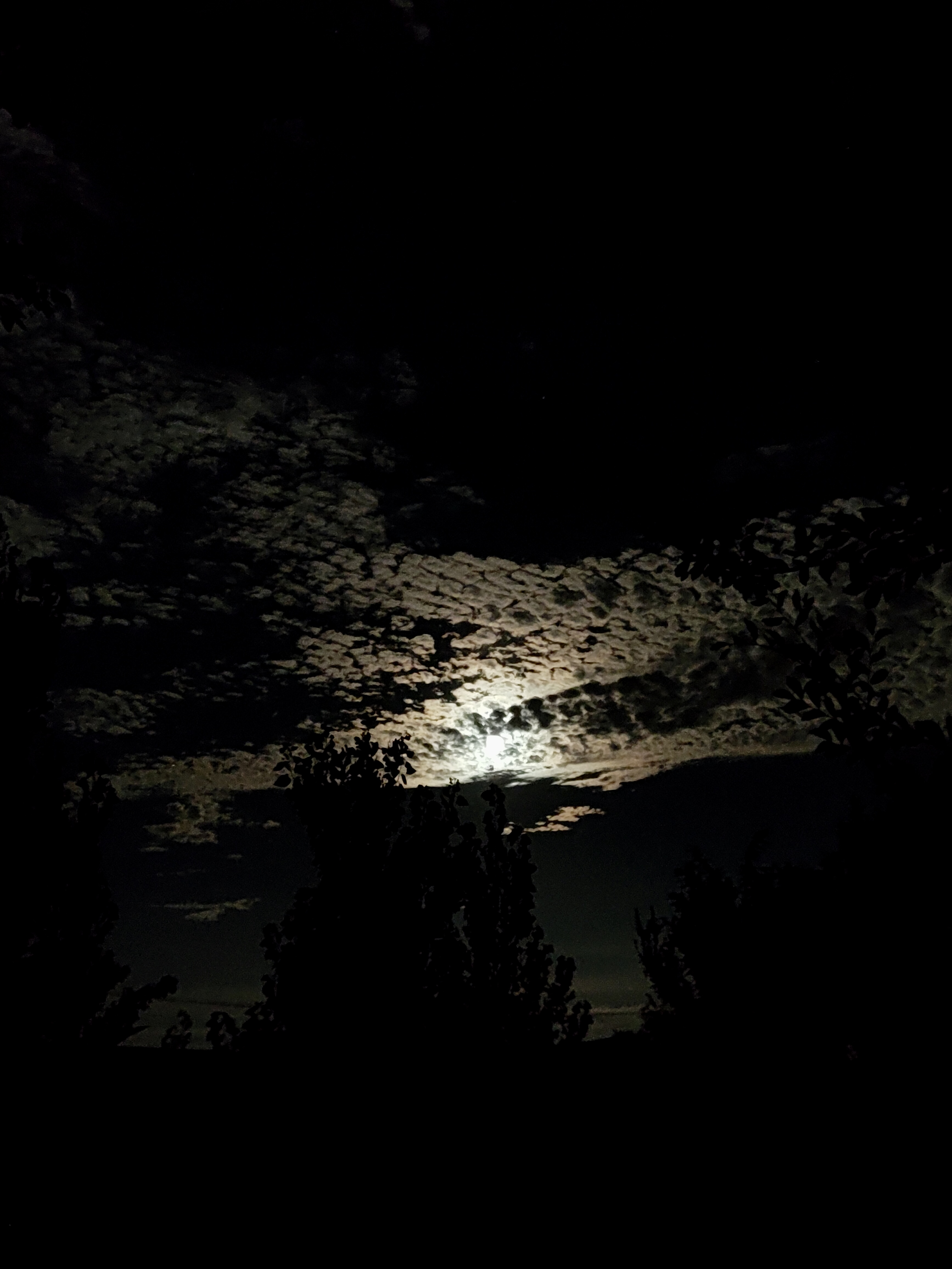 外婆家的夜空